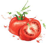 免费ddos压力测试平台