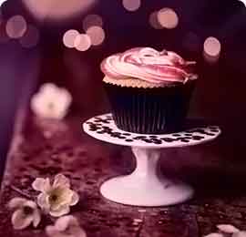 DDOS压力测试网页端